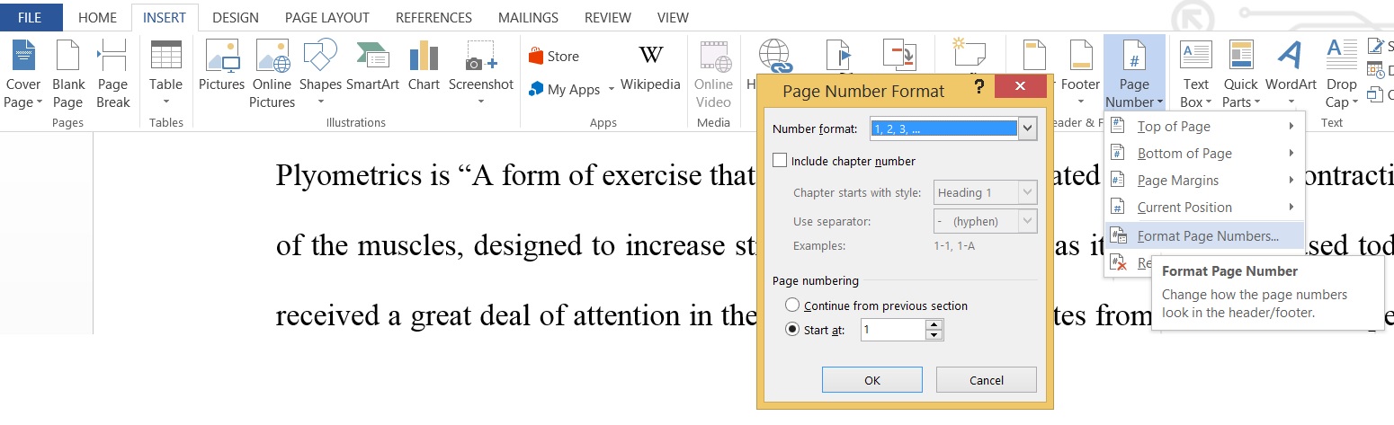 Page Number Format
